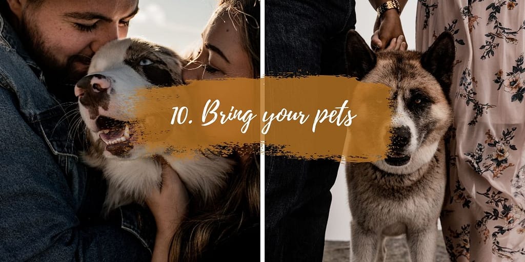 Bring your pets to your elopement